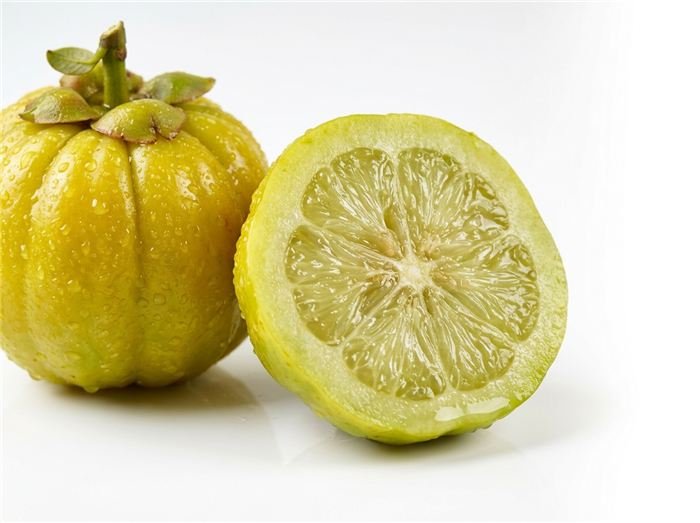 Garcinia cambogia brindle berry fruit used in Hinuki jelly sticks